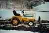 Cub Cadet RightSmall.jpg (4012 octets)